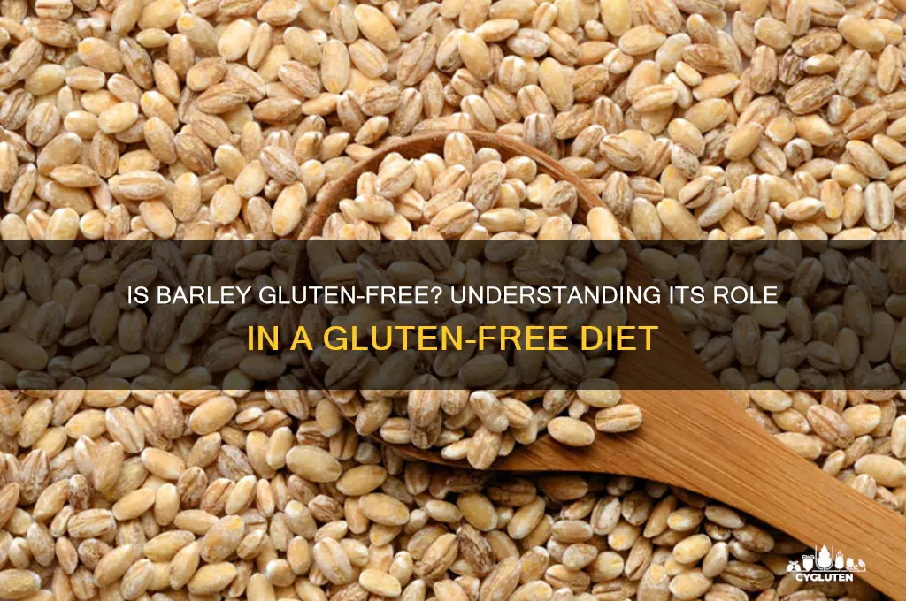 is bareley gluten free
