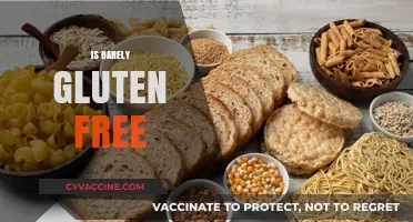 Is Barely Gluten-Free? Unraveling the Truth About Barley in Diets