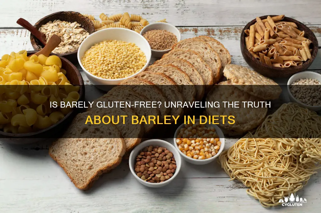 is barely gluten free