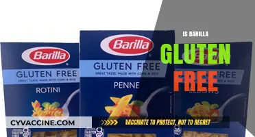 Is Barilla Gluten-Free? Exploring Pasta Options for Celiac Diets
