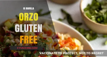Exploring Gluten-Free Options: Is Barilla Orzo Safe for Celiacs?