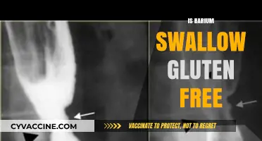 Exploring Gluten-Free Options: The Truth About Barium Swallow