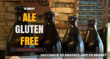 Exploring Gluten-Free Options: The Truth About Barley Ale