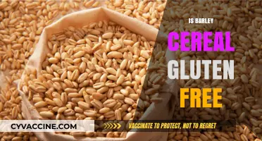 Exploring Gluten-Free Diets: Is Barley Cereal a Safe Choice?