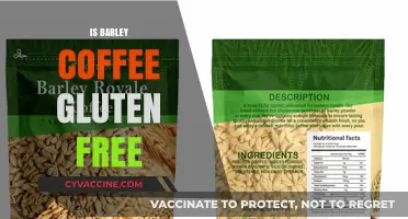 Exploring Gluten-Free Options: Is Barley Coffee Safe for Celiacs?