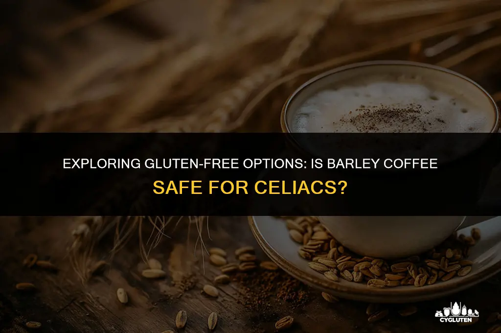 is barley coffee gluten free
