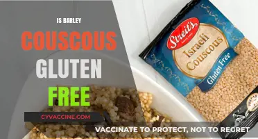 Exploring Gluten-Free Diets: Is Barley Couscous a Safe Choice?