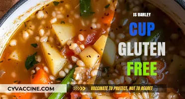 Exploring Gluten-Free Options: Is Barley Cup Safe for Celiacs?