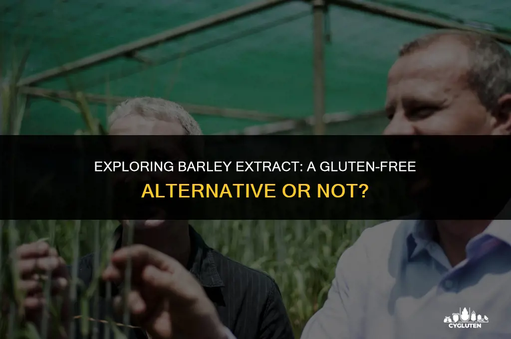 is barley extract gluten free