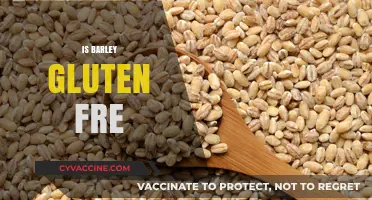 Is Barley Gluten-Free? Unraveling the Truth for Your Diet