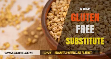 Exploring Barley as a Gluten-Free Substitute: Facts and Myths
