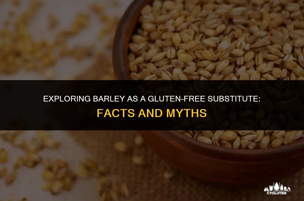is barley gluten free substitute