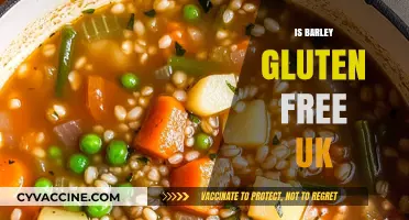 Exploring Gluten-Free Diets: Is Barley Safe for UK Consumers?
