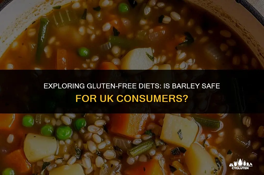 is barley gluten free uk