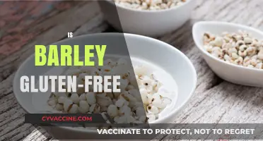 Is Barley Gluten-Free? Unraveling the Truth for Your Diet