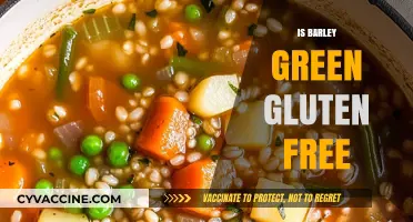 Exploring the Benefits of Barley Green: A Gluten-Free Alternative