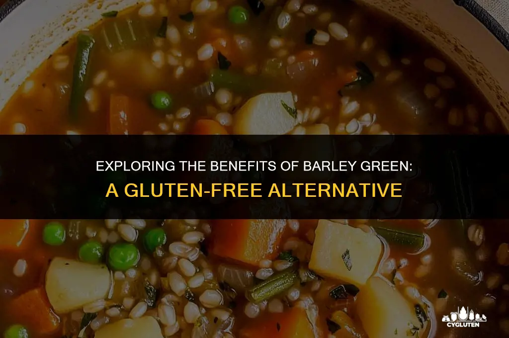 is barley green gluten free