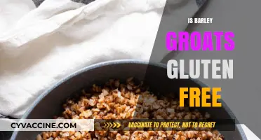 Exploring Gluten-Free Diets: The Truth About Barley Groats