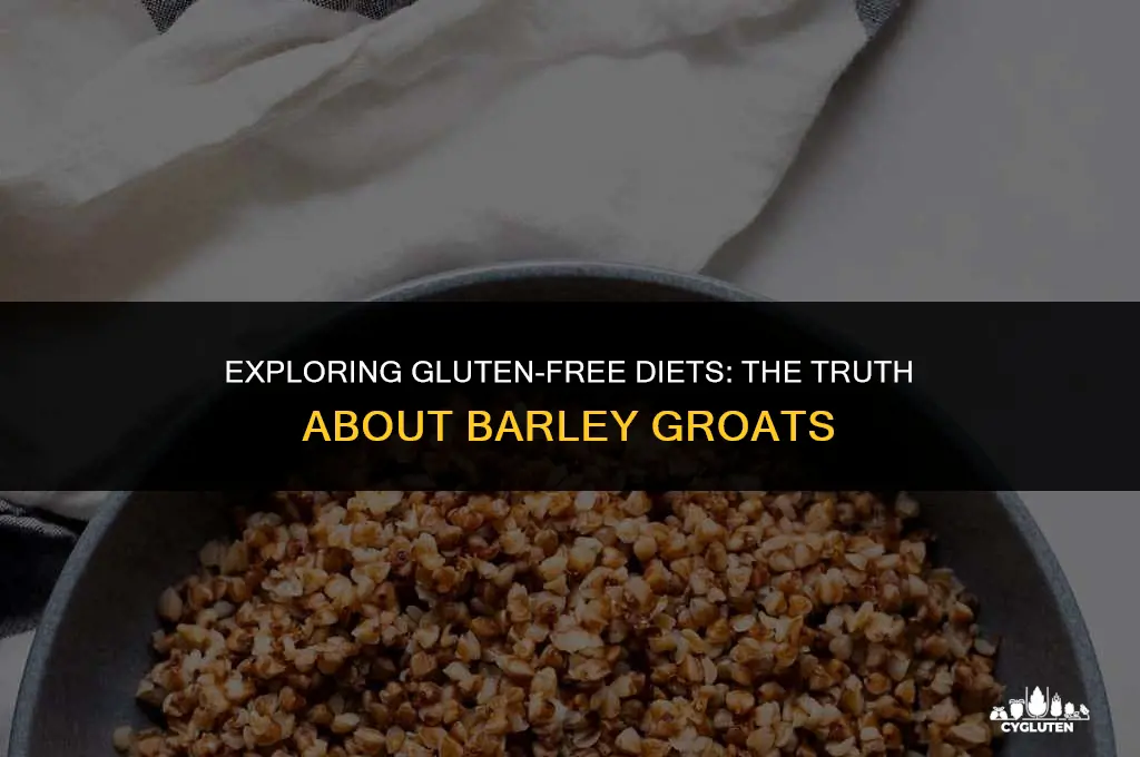 is barley groats gluten free