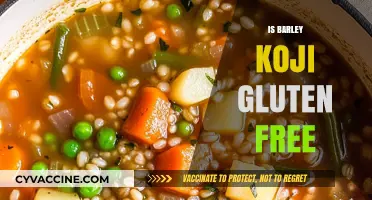 Exploring the Gluten-Free Status of Barley Koji: A Comprehensive Guide