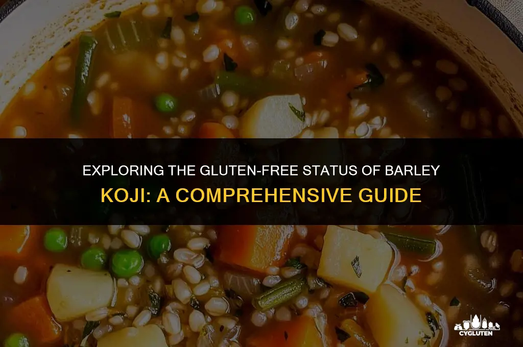 is barley koji gluten free