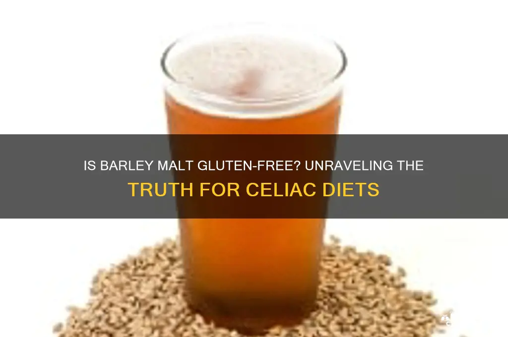 is barley malt gluten free