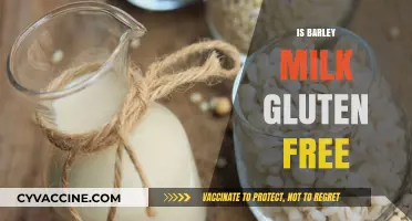 Exploring Barley Milk: A Gluten-Free Alternative or Not?