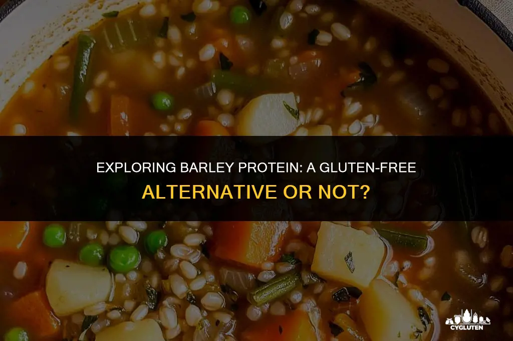 is barley protein gluten free