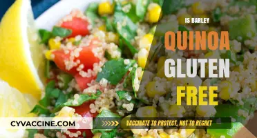 Exploring Gluten-Free Grains: Is Barley Quinoa Safe for Celiacs?