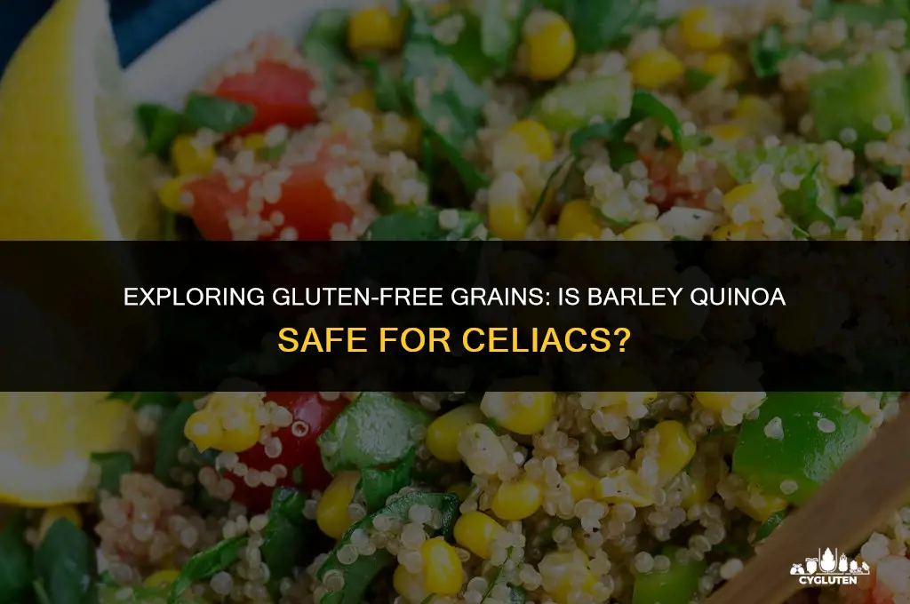 is barley quinoa gluten free