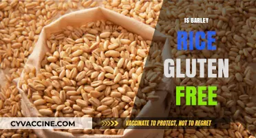 Exploring Gluten-Free Diets: Is Barley Rice a Safe Choice?