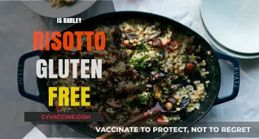 Exploring Gluten-Free Options: Is Barley Risotto Safe for Celiacs?