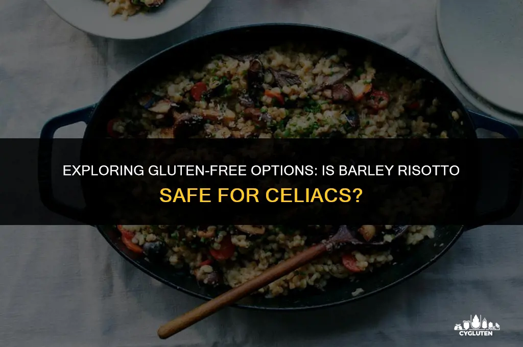 is barley risotto gluten free