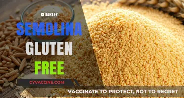 Exploring Gluten-Free Diets: Is Barley Semolina Safe to Consume?