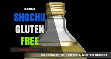 Exploring the Gluten-Free Status of Barley Shochu: A Comprehensive Guide