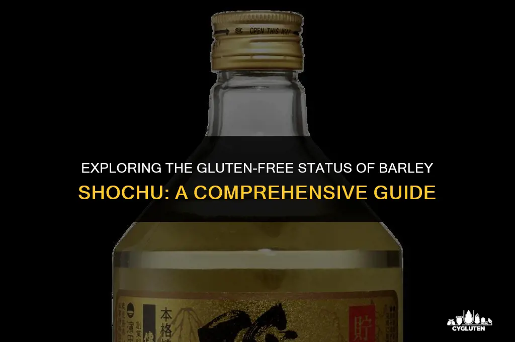 is barley shochu gluten free