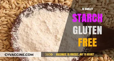 Exploring the Gluten-Free Status of Barley Starch: Facts and Myths