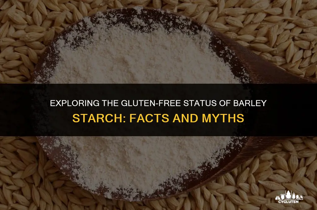 is barley starch gluten free