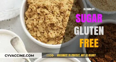 Exploring the Sweet Side: Is Barley Sugar Gluten-Free?