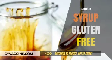 Exploring the Gluten-Free Status of Barley Syrup: A Comprehensive Guide