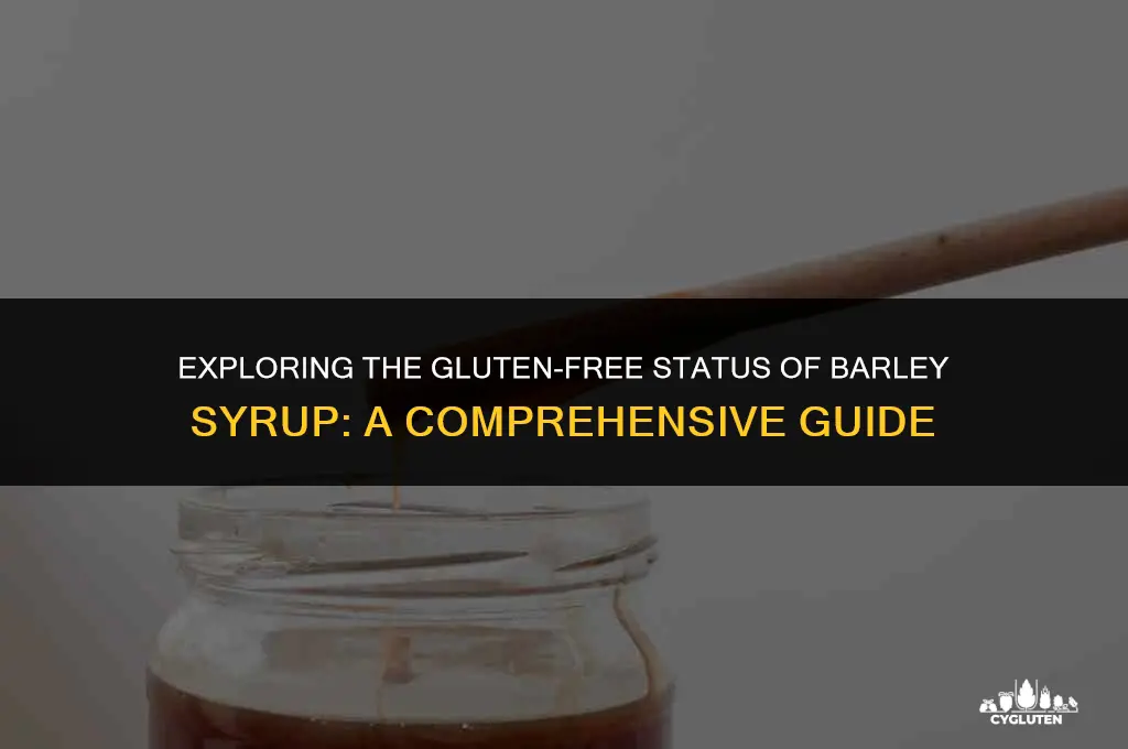 is barley syrup gluten free