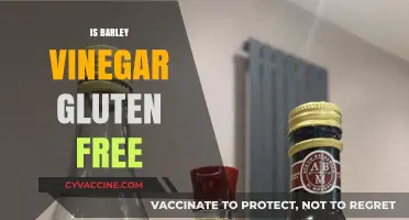 Exploring the Gluten-Free Status of Barley Vinegar: A Comprehensive Guide