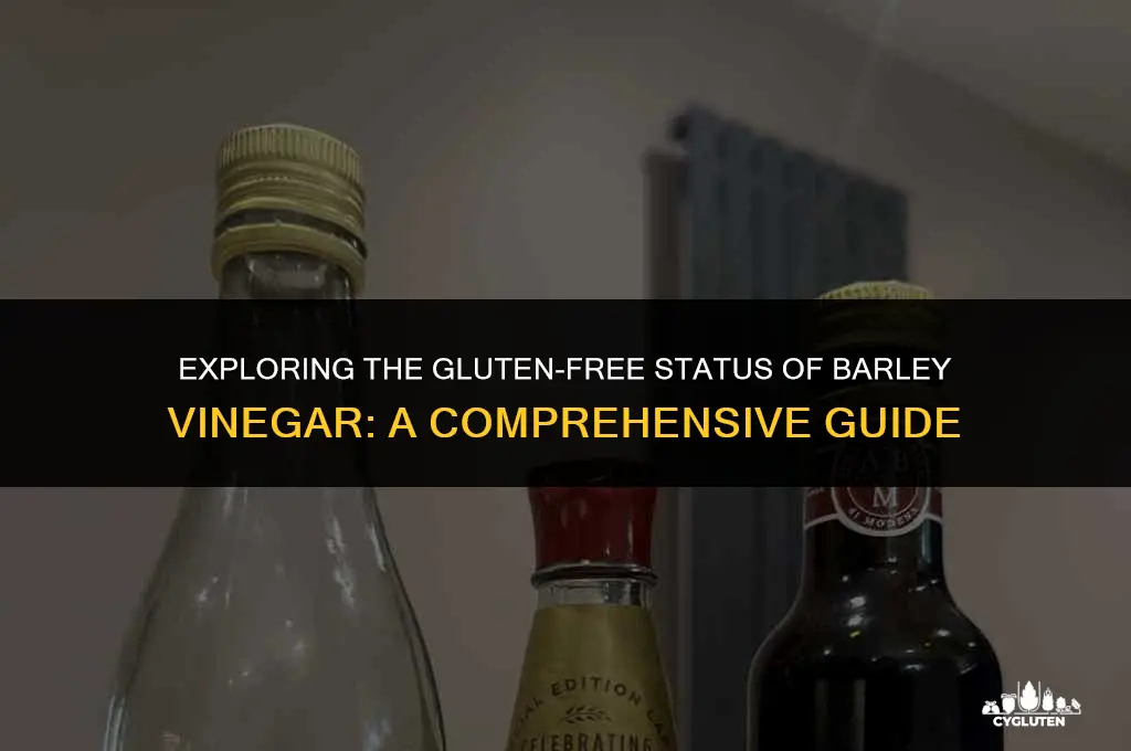 is barley vinegar gluten free