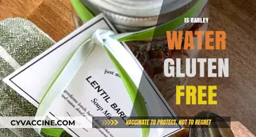 Exploring the Gluten-Free Benefits of Barley Water