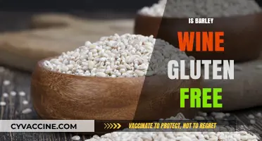 Exploring Gluten-Free Options: Is Barley Wine Safe for Celiacs?