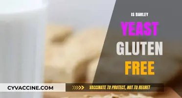 Exploring Barley Yeast: A Gluten-Free Option for Your Diet