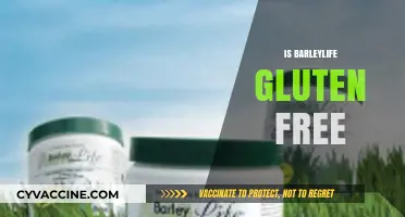 Is BarleyLife Gluten-Free? Uncovering the Truth for Health-Conscious Consumers