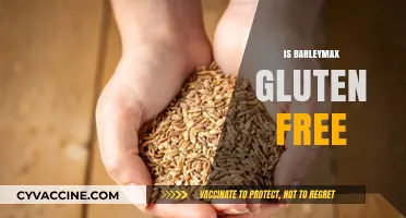 Is Barleymax Gluten-Free? Unraveling the Truth for Your Diet
