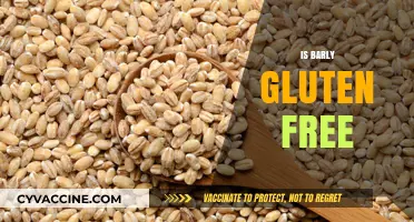 Is Barley Gluten-Free? Unraveling the Truth for a Healthy Diet