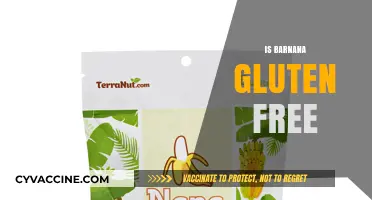 Is Barnana Gluten-Free? Uncovering the Truth About This Snack